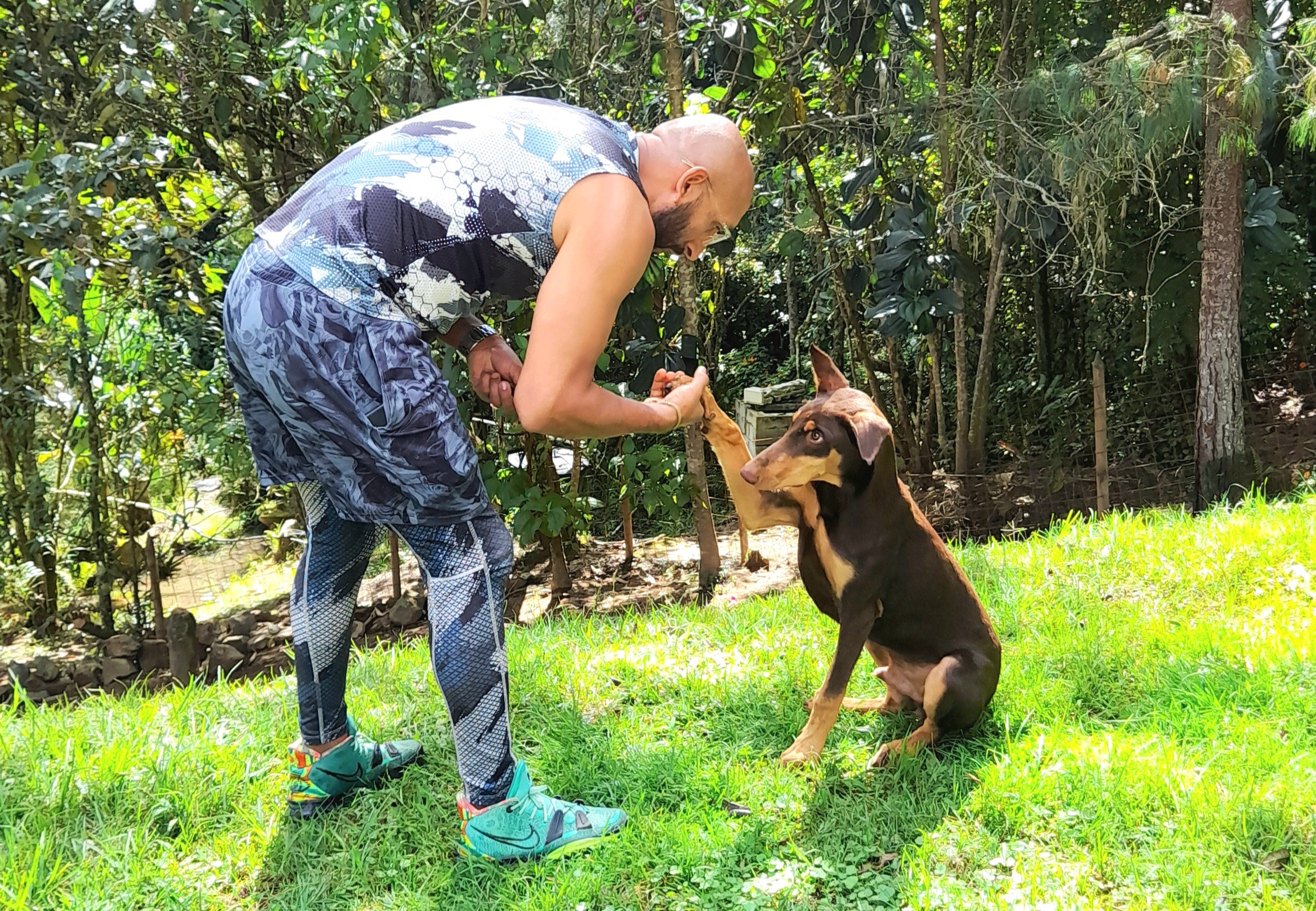 Adiestramiento canino con perro cachorro raza doberman